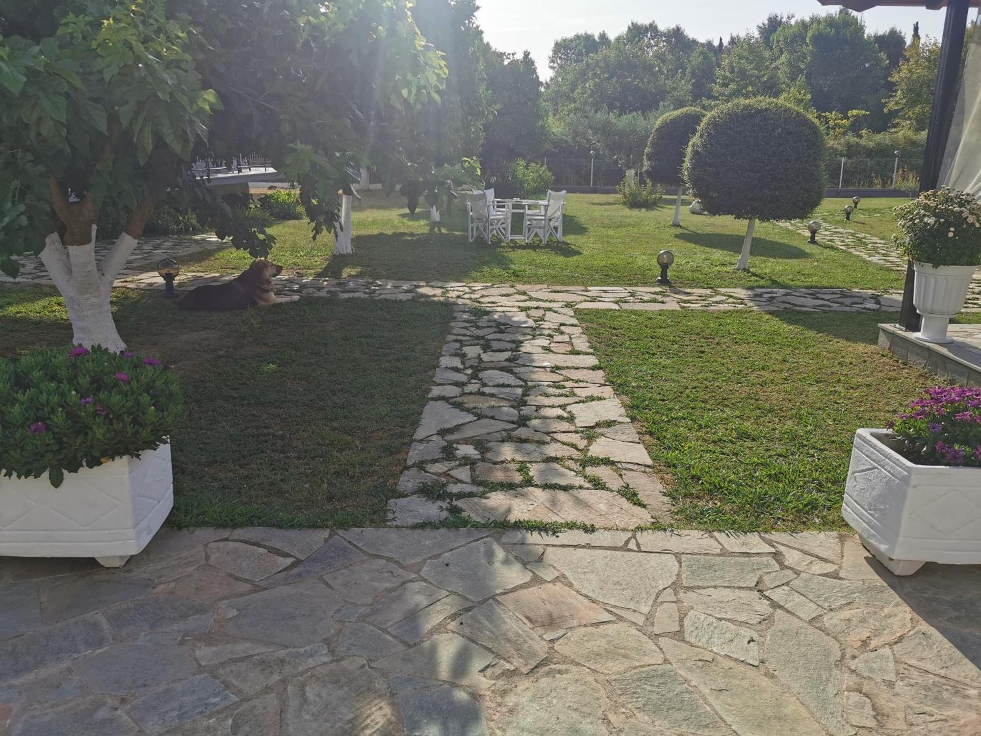 Holiday home Adamidis Paralia Skotinis