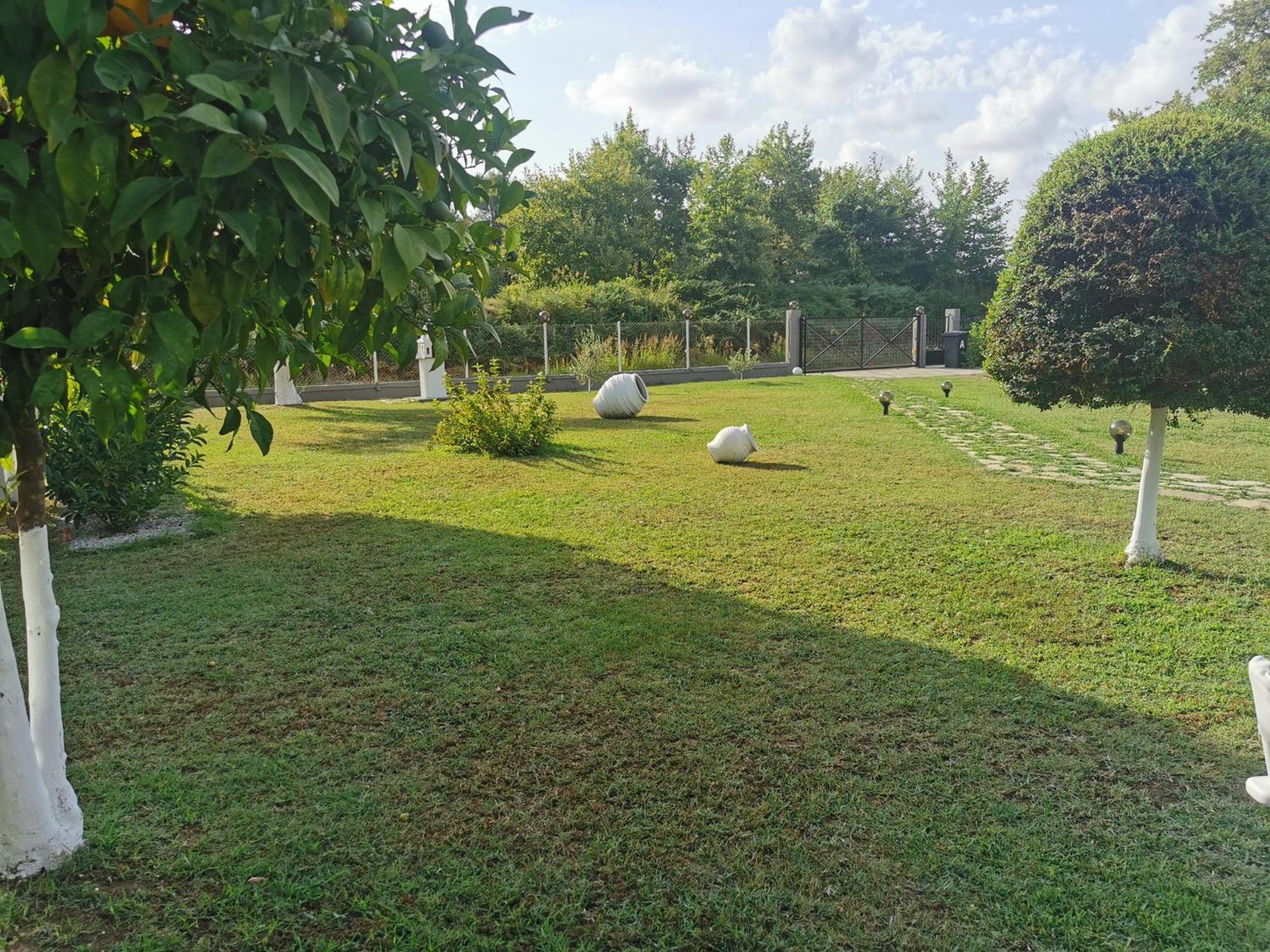Vakantiehuis Adamidis