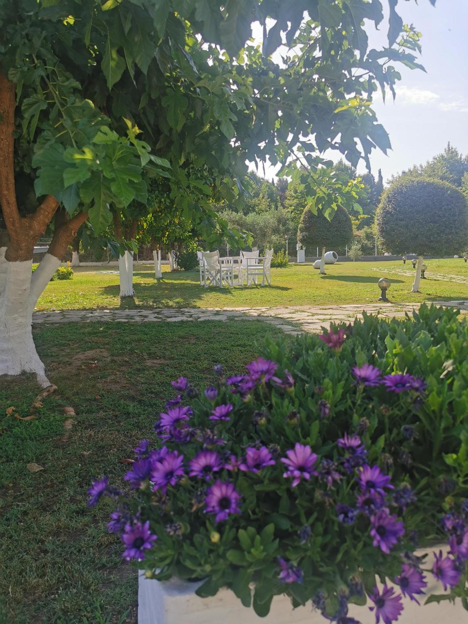 Holiday home Adamidis Paralia Skotinis